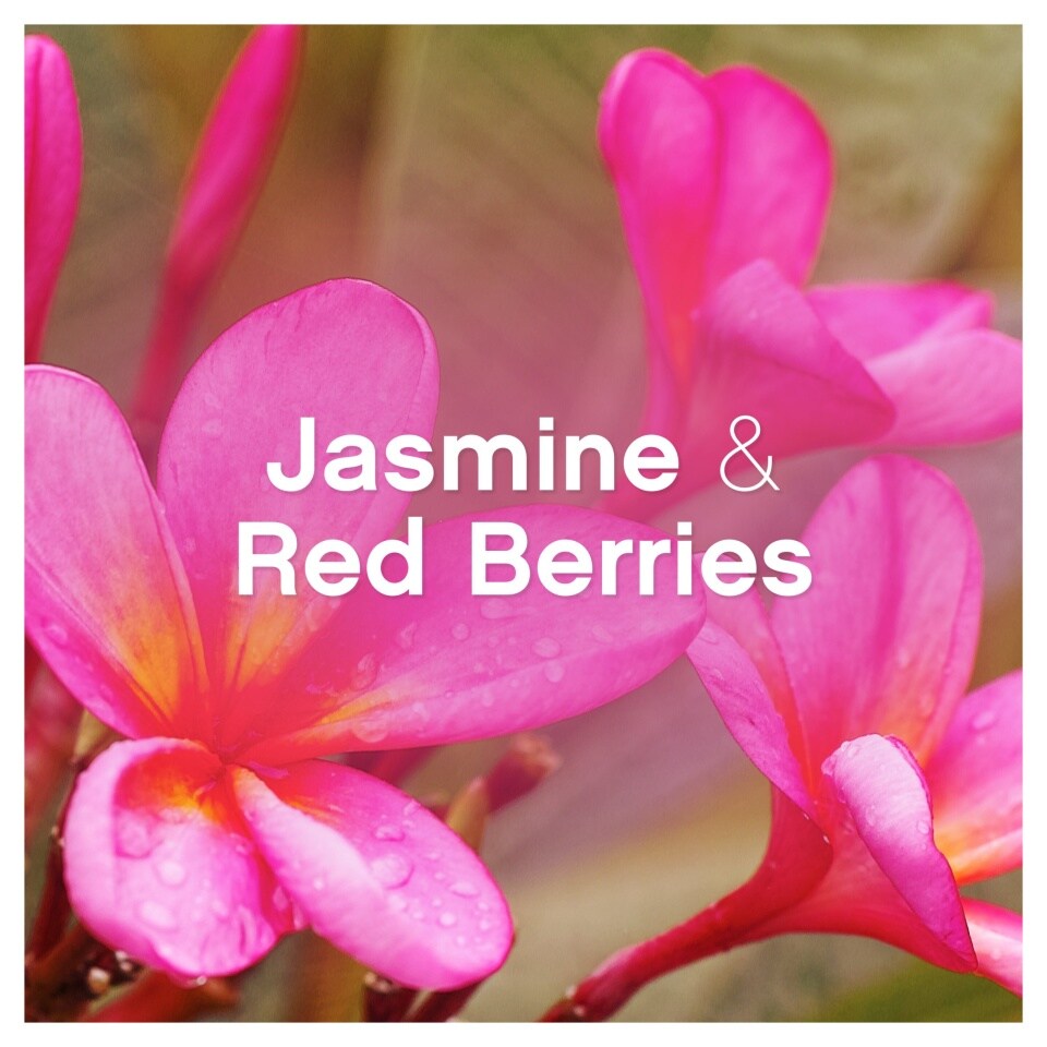 Lenor Fabric Conditioner Jasmine & Red Berries öblítő 26 mosás (858 ml)